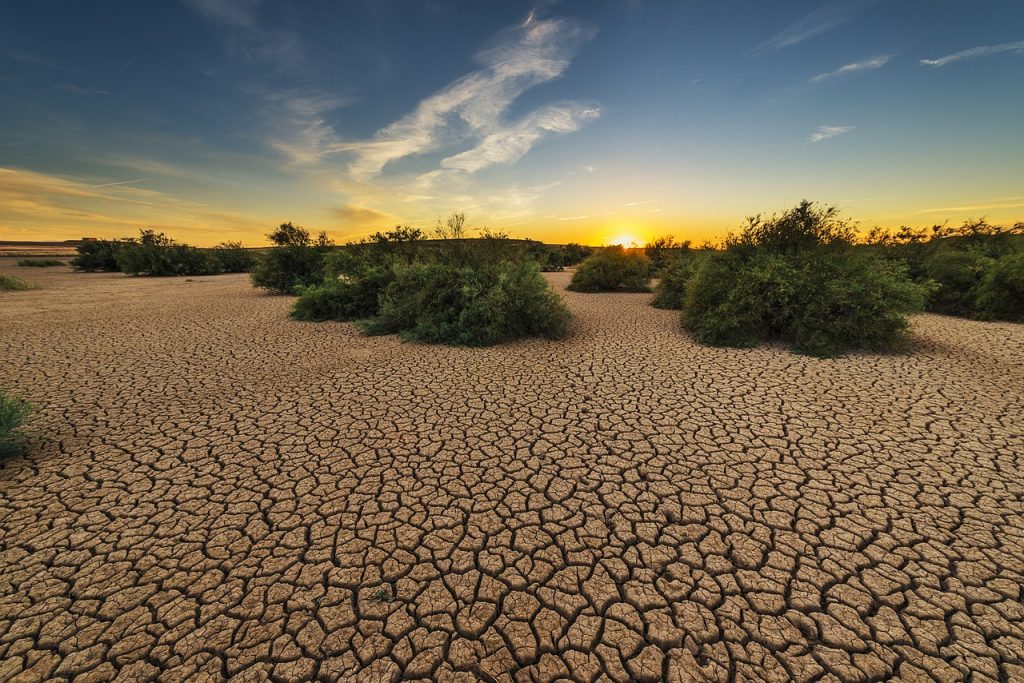 Sol fissuré vu d’en haut, symbole des messages de la Terre et de sa force vitale.