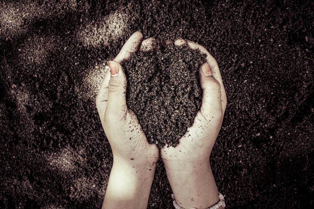 Main humaine prenant la terre, geste d’écoute et de respect envers la planète