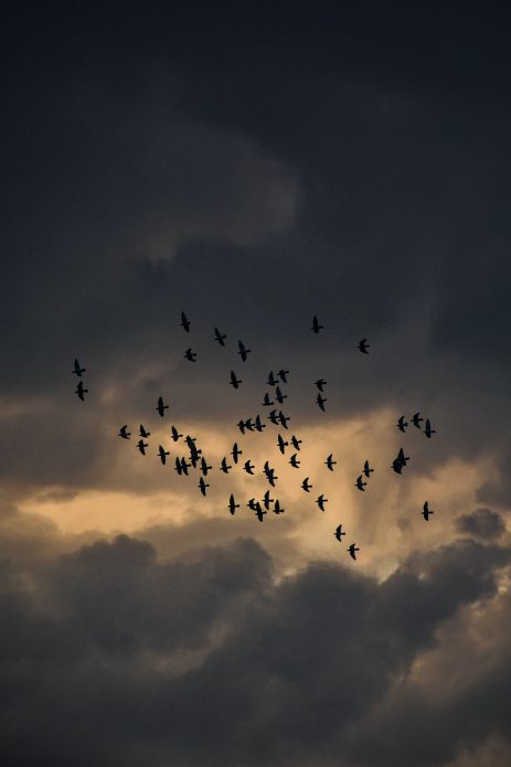 Planète Terre : Nuages Sombres