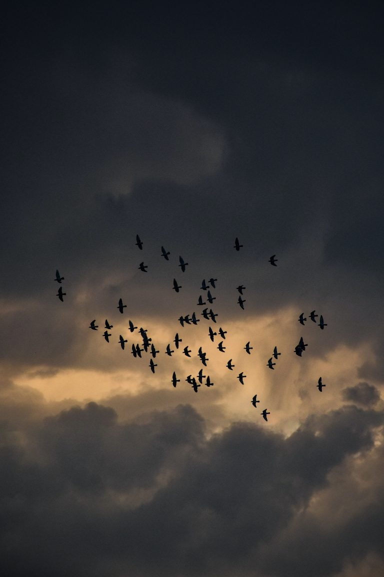 Planète Terre : Nuages Sombres