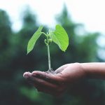 Bouton Écologie