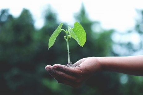 Bouton Écologie