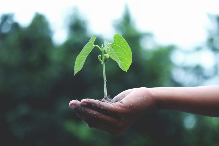 Bouton Écologie