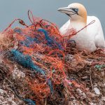 Bouton Pollution