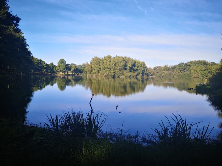 écologie, Reflets d’arbres et de ciel bleu sur un étang du plateau d’Antully en Bourgogne.