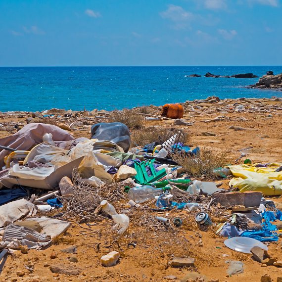 Déchets plastiques abandonnés sur un littoral illustrant la pollution plastique des océans et des côtes.