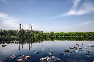 Pollution plastique dans une zone humide avec déchets flottants à la surface de l'eau.