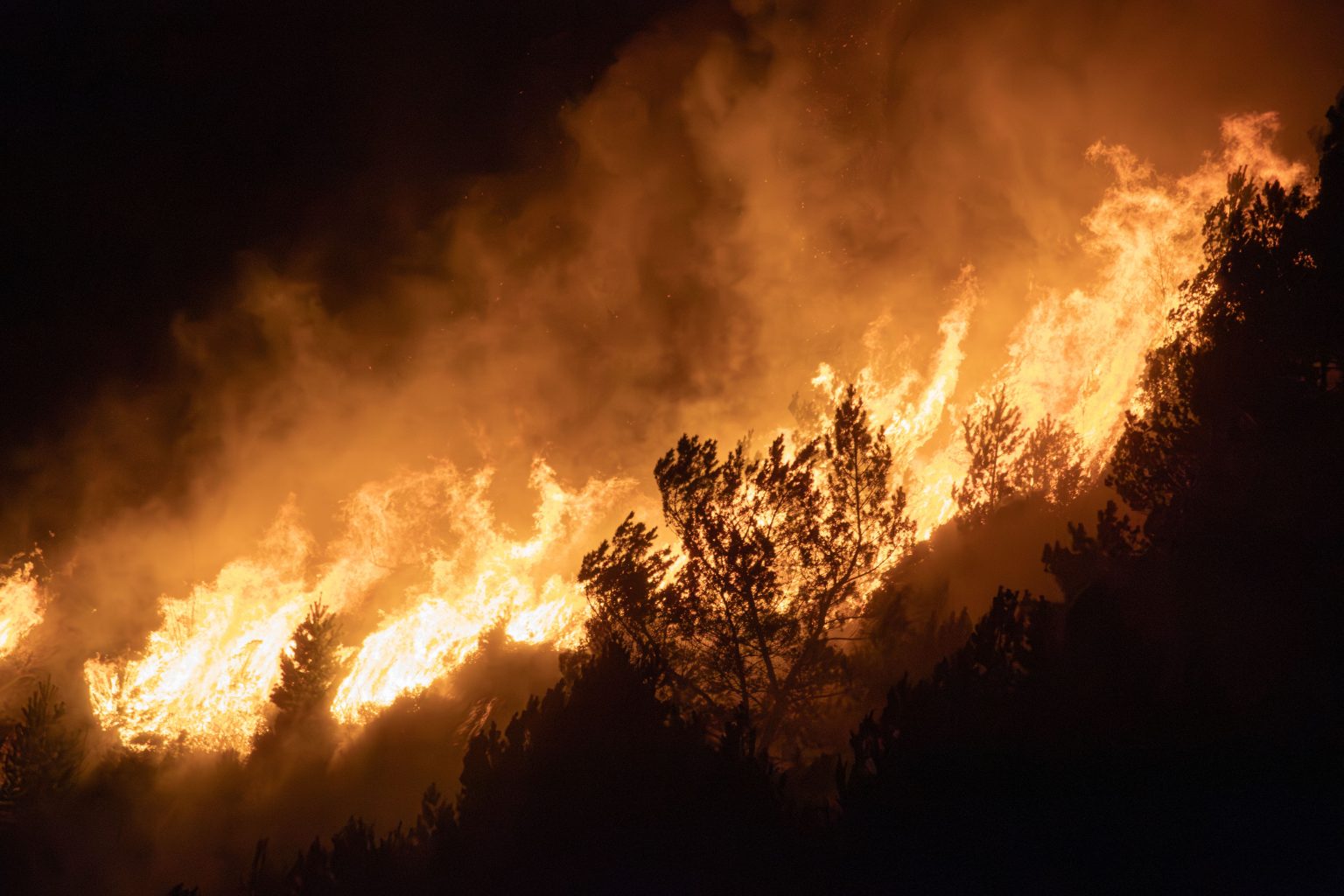 Incendie de forêt nocturne en Norvège, avec de violentes flammes et un épais nuage de fumée